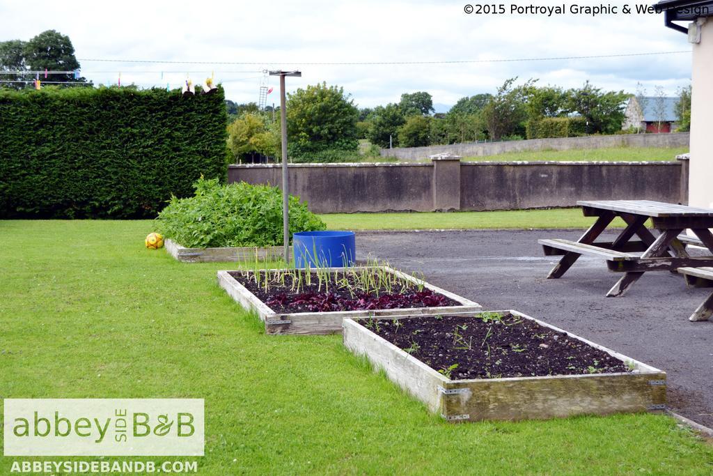 Abbeyside B&B Ballintober  ภายนอก รูปภาพ